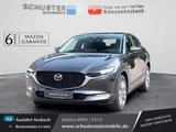 Mazda CX-30 Centre-Line 2,5l LED/Navi/Kamera/Head-up/C - Mazda CX-30 mit Hybrid-Antrieb: Centre Line