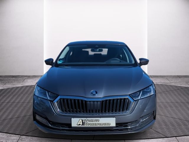 Fahrzeugabbildung SKODA Octavia 2.0 TDI DSG Style