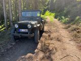 Jeep Willys M38