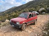 Fiat Panda 1100 i.e. cat 4x4 Trekking GPL - gebrauchte Fiat Panda aus dem Jahr 2002
