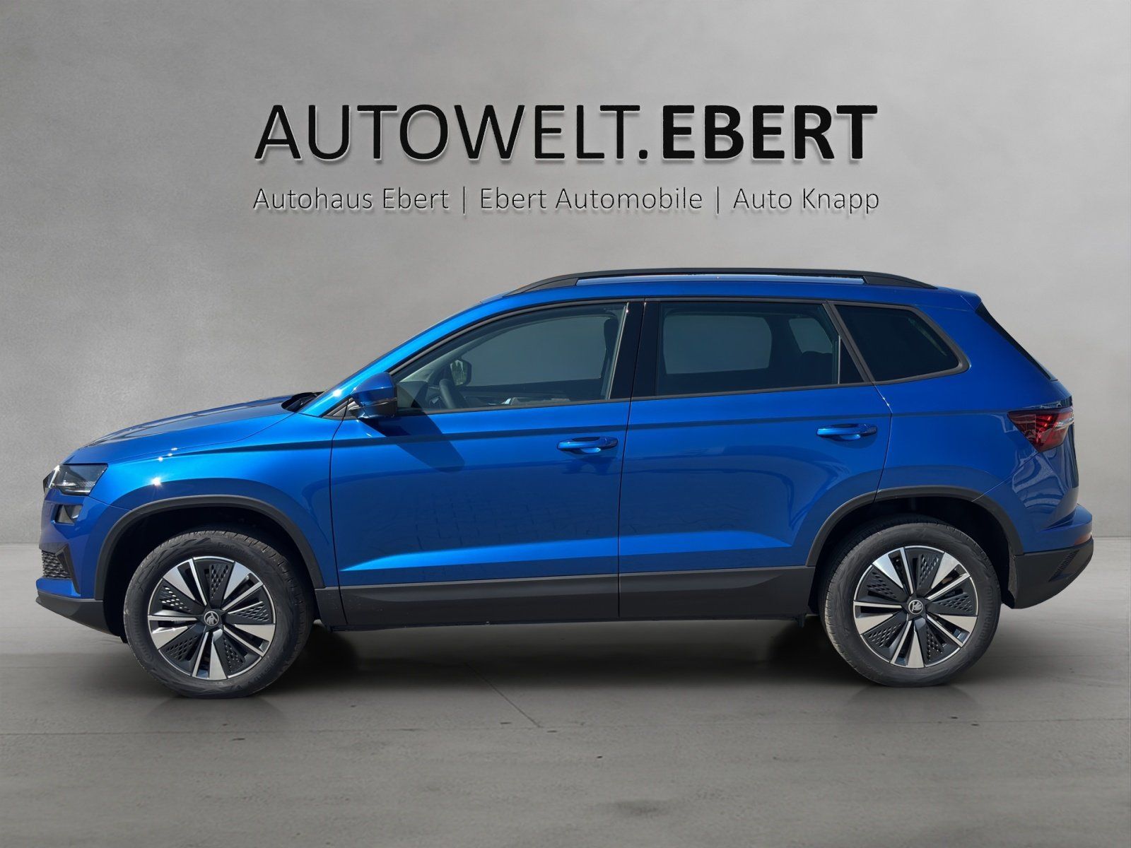 Fahrzeugabbildung SKODA Karoq Balance 1,5 TSI 110 kW DSG MATRIX/RFK/AHK