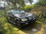 Mercedes-Benz Mercedes ML 163, wenig gelaufen, 3,5t AHK,... - Mercedes-Benz 270 Gebrauchtwagen