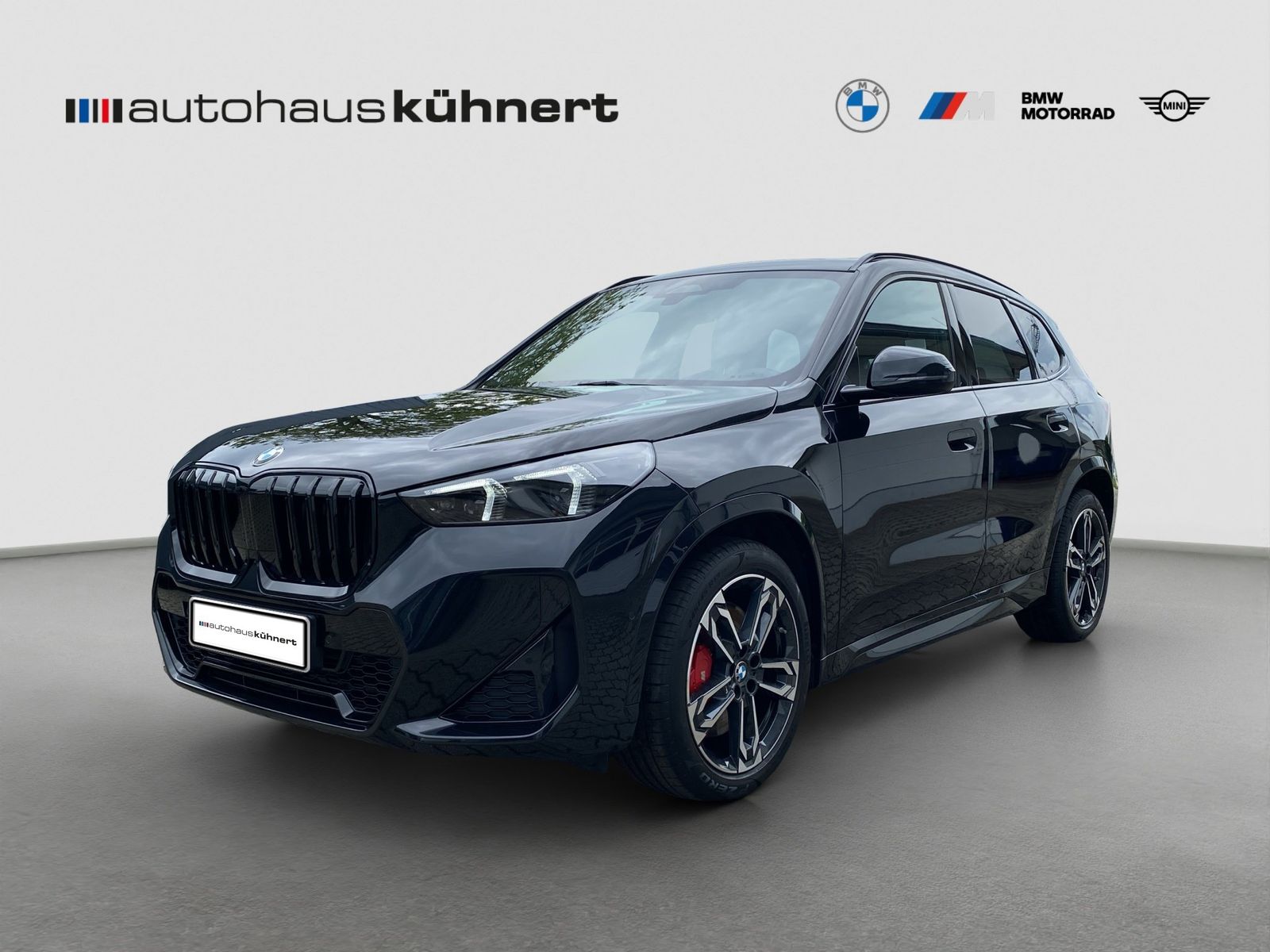BMW X1 sDrive18i Aut. M-Sport PRO PanoSD AHK Park foto 2