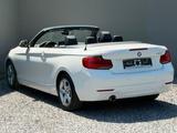 BMW 218 i 2 Cabrio Autom. SPORT LEDER LED KEYLESS - : Allradantrieb, Cabrio
