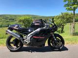 Triumph Daytona T595 '97  - TRIUMPH T595 DAYTONA