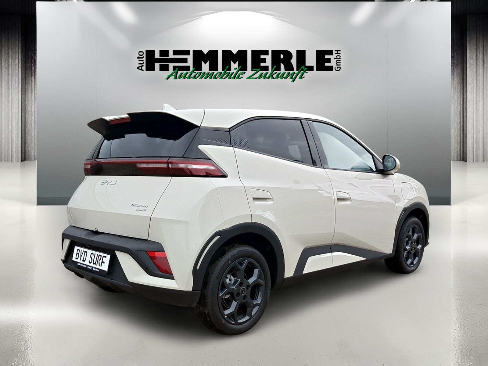 BYD DOLPHIN SURF