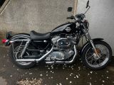 Harley-Davidson 2003 Sportster XL 883 mit 6832 km - HARLEY-DAVIDSON 2003 883 SPORTSTER