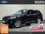 Ford Kuga 2.5 FHEV Titanium X*ALLRAD*NAVI*B&O*KAMERA* - Ford Kuga FHEV Gebrauchtwagen