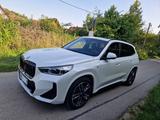 BMW iX1 xDrive30 M Sport - nahezu Vollausstattung - BMW iX1 von privat