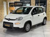 Fiat Panda /KLIMA/4-TÜRER/DAB/ALLWETTER/1-HAND - Fiat Panda mit Hybrid-Antrieb