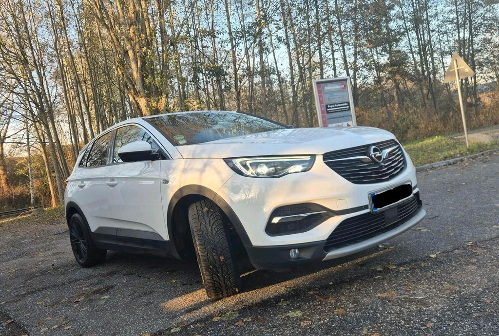 Image of Other Other