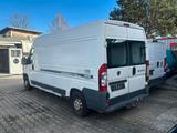 Fiat Ducato Grossr.-Kasten 33 120  L4 1.Hand - Fiat Ducato aus 2011: Van
