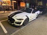 Ford Mustang 2.3 EcoBoost Shelby - Ford Mustang in Ludwigshafen