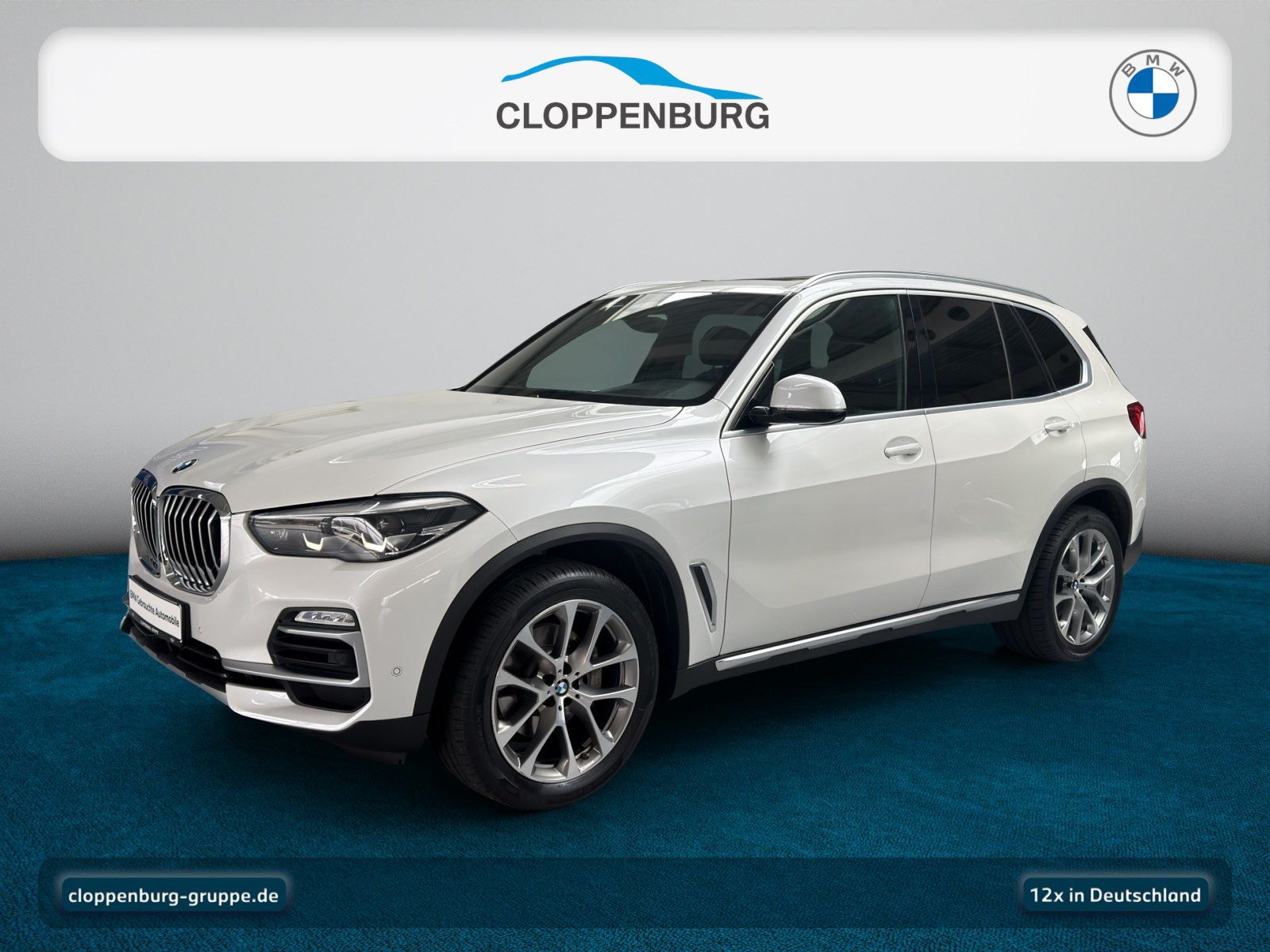 BMW X5 xDrive30d xLine Gestiksteuerung Stahndh. Head