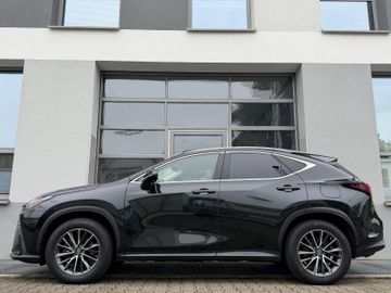 Lexus NX 350h - 3