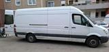 Mercedes-Benz Sprinter 316CDI,  motor komplett erneuert ... - Mercedes-Benz Sprinter: Motor