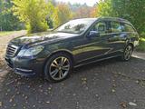 Mercedes-Benz 350 - Mercedes-Benz 350 mit Diesel-Antrieb: Kombi