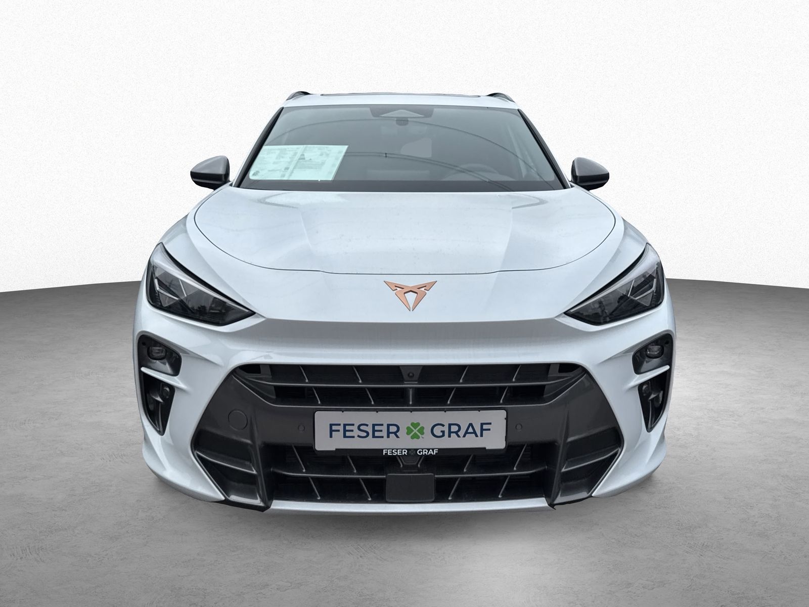 Cupra Terramar - Bild 2