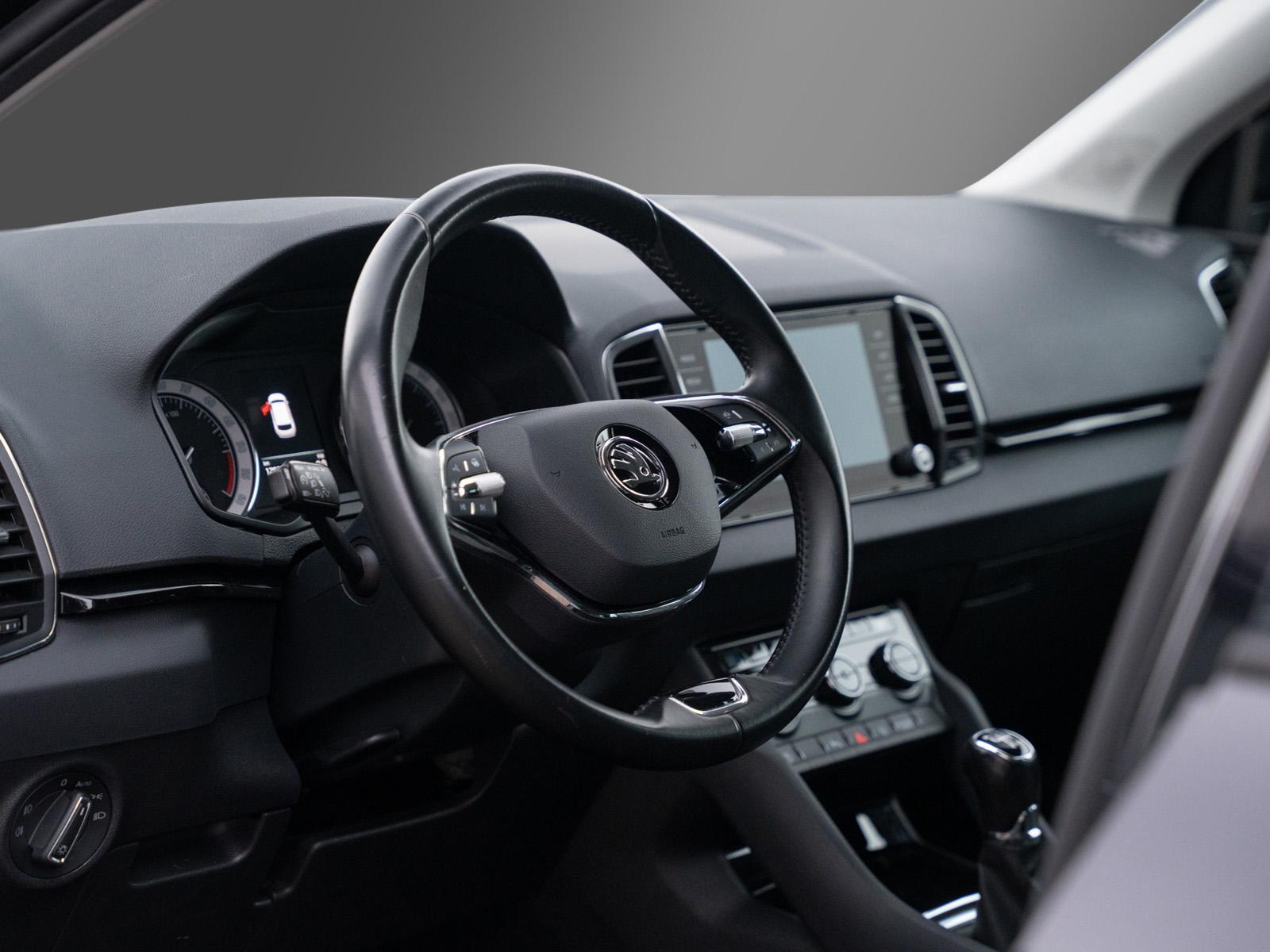 Skoda Karoq Style Business-Paket Amundsen LED SunSet, миниатюра 13