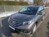 Honda CR-V Elegance Black Edition 4WD,Aut.,WR,AHKAlu - Honda mit Diesel-Antrieb: Geländewagen
