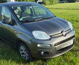 Fiat New Panda 1.2 8V LOUNGE - scheckheftgepflegte Fiat New Panda