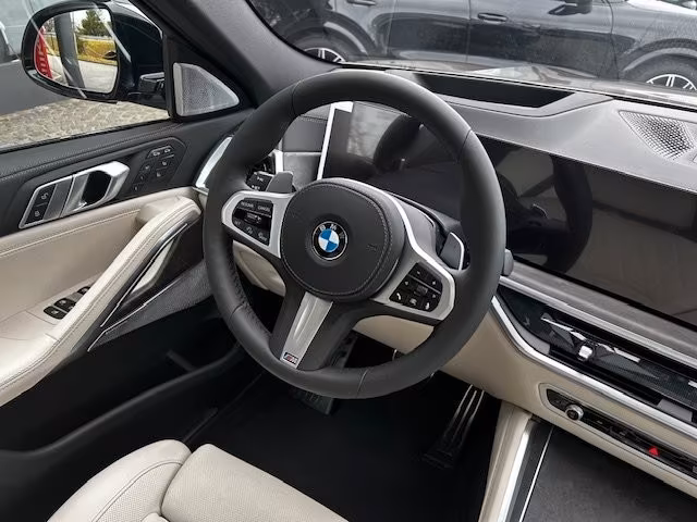 BMW X6 xDrive40d/SEPANG BRONZE/1OF/B&W/FULL-FULL! – 12