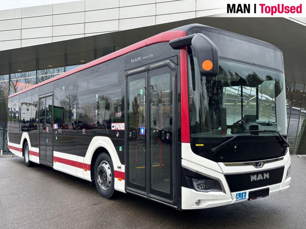 MAN LION'S CITY / 12C