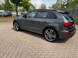 Audi SQ5 3.0 TDI plus tiptronic quattro - - Audi SQ5 in Frankfurt (Main)