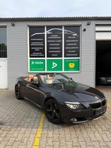 BMW 635 Baureihe 6 Cabrio 635d - BMW 635: 635d