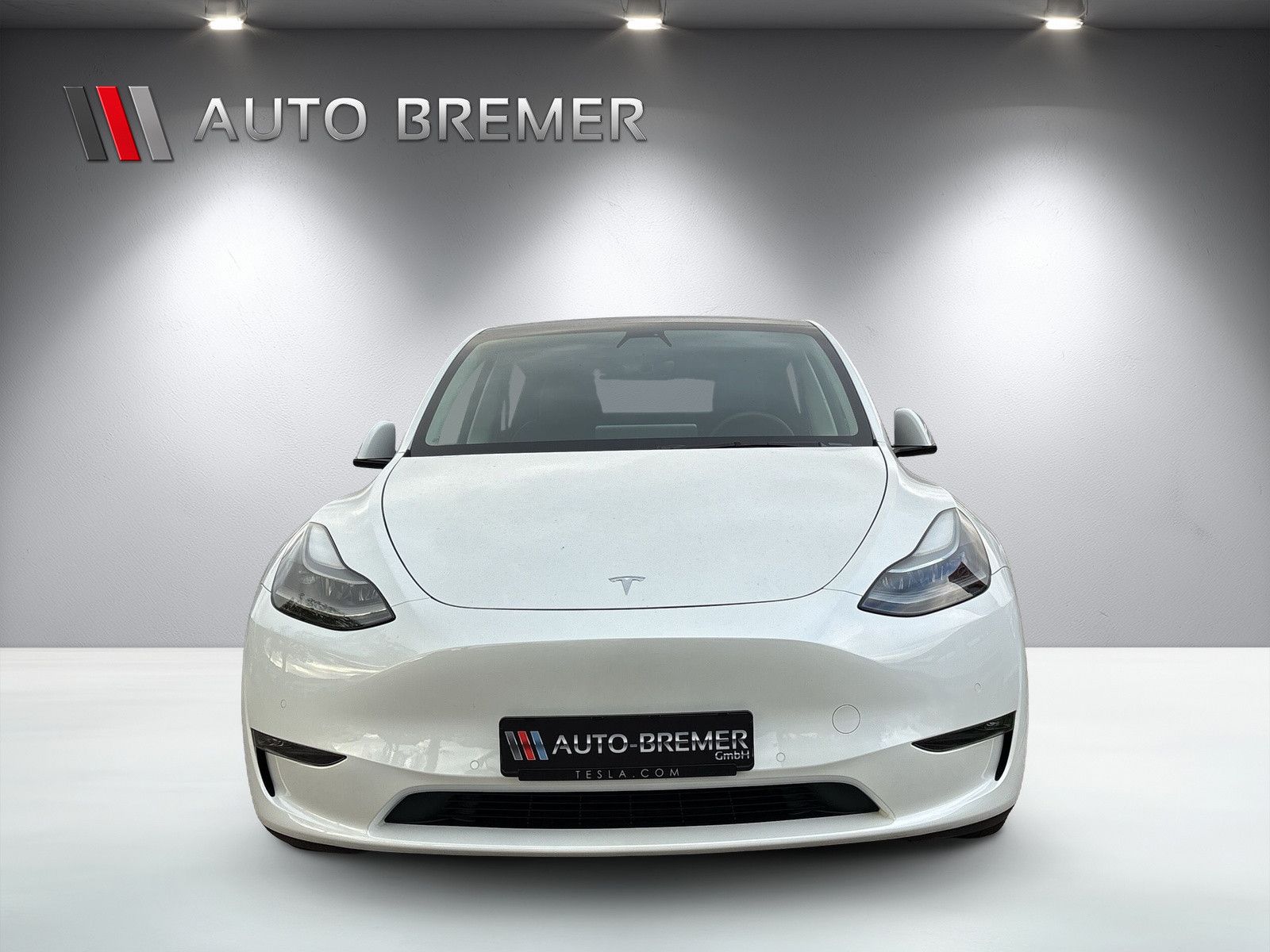 Fahrzeugabbildung Tesla Model Y Performance Dual AWD