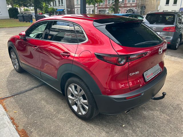 Fahrzeugabbildung Mazda CX-30 2.0+AHK+Navi+Kamera+HeadUp+CarPlay+1.Hand+