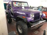 Jeep JEEP CJ-5 Rest. Renegade - Preparata - Jeep aus 1980