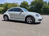 Volkswagen Beetle 1.2 TSI BMT CLUB CLUB - Volkswagen Beetle: Club