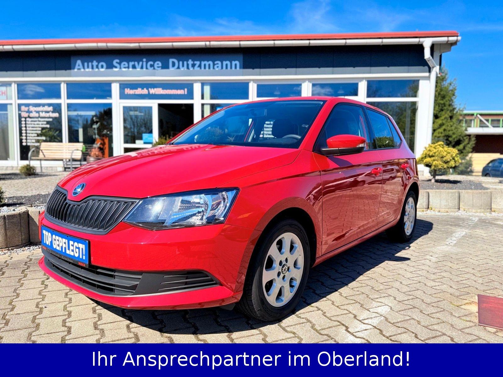 Skoda Fabia Active + SR+WR+ Klimaanlage+ top gepflegt