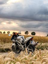 Suzuki Sv650s - SUZUKI 2002 SV650S