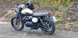 Triumph Street Scrambler 900 Sandstorm