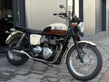Triumph Bonneville T100 *Top Zustand, zweite Hand* - TRIUMPH BONNEVILLE T100