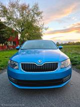 Skoda Octavia Limousine | DSG | Euro 6 | 1... - Skoda Octavia mit Benzin-Antrieb: Limousine, 1.6