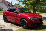 Alfa Romeo Stelvio 2.9 Bi-T. V6 375kW Quadrifoglio AT8-... - Alfa Romeo Stelvio Quadrifoglio mit Benzin-Antrieb
