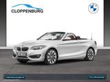 BMW 230i Cabrio Luxury Line Navi+E.Sitze Memo.+SHZ - BMW 230: I
