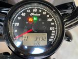Indian Scout Rogue  - INDIAN SCOUT ROGUE