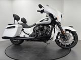 Indian CHIEFTAIN DARK HORSE *SCHECKHEFTGEPFLEGT - INDIAN CHIEFTAIN DARK HORSE