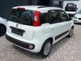 Fiat New Panda Lounge 1-Hand 28.383 Km! Klima DAB+ - Fiat New Panda Gebrauchtwagen