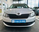 Skoda Fabia 1.0 MPI Active Klima AUX Allwetter - Skoda Fabia: Active