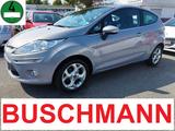 Ford Fiesta Titanium 1.6 KLIMATRONIC*PDC*ALLWETTER - Ford Fiesta aus 2010: Titanium
