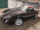 Fiat Barchetta Limited Edition Rieviera Maggiora - Fiat Barchetta: Limited Edition