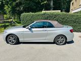 BMW M240i xDrive Steptronic Cabrio - - BMW M240i: 240
