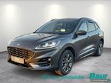 Ford Kuga 2.5 Duratec PHEV ST-LINE X Winter-Paket - Behindertengerechte Ford Kuga