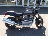 Harley-Davidson XR 1200 - Harley-Davidson Motorräder in Dortmund