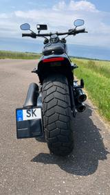 Harley-Davidson FAT BOB 114 - Motorräder in Halle